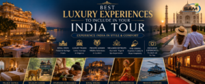 Best Luxury Experiences to Include in Your India Tour